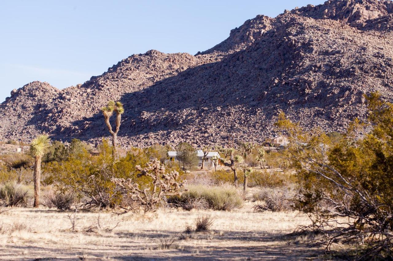 @ Marbella Lane - 10 Acres Oasis Desert Retreat! Joshua Tree Kültér fotó